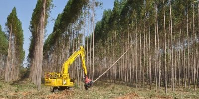 Colheita da Madeira com Harvester