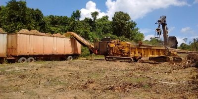 Processamento de Madeira